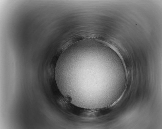 X0000093410190200710190952