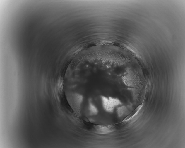 X0000093410191200710190952