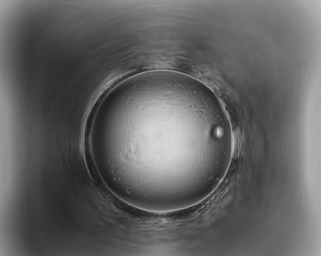 X0000093410195200710190952