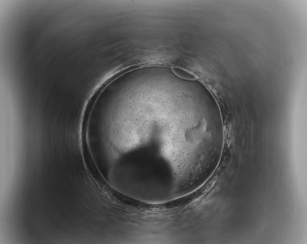 X0000093410196200710190952