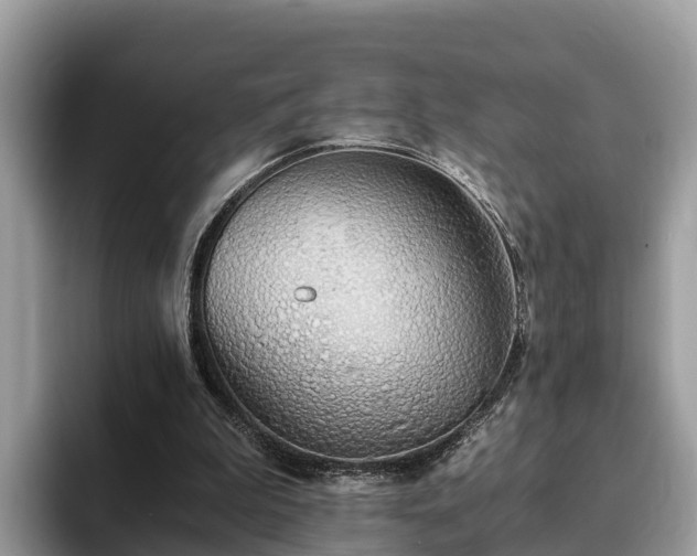 X0000093410199200710190952