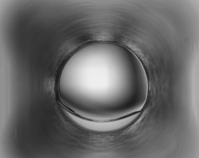 X0000093410201200710190952