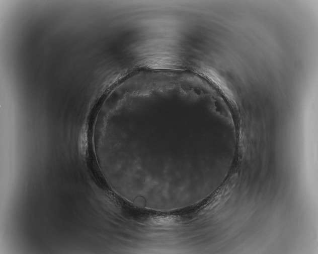 X0000093410202200710190952