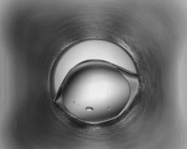 X0000093410203200710190952