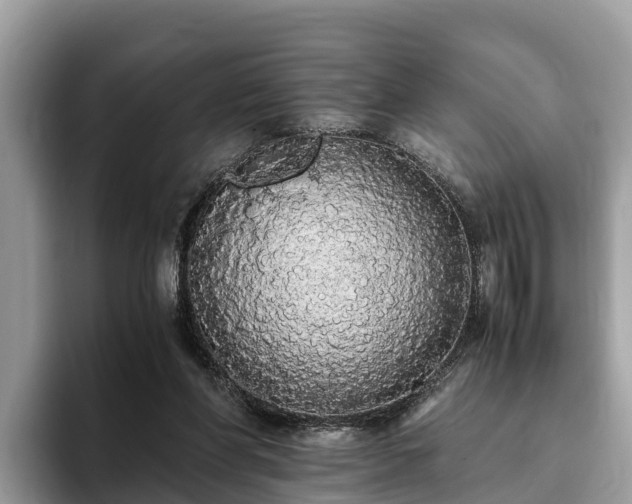 X0000093410206200710190952