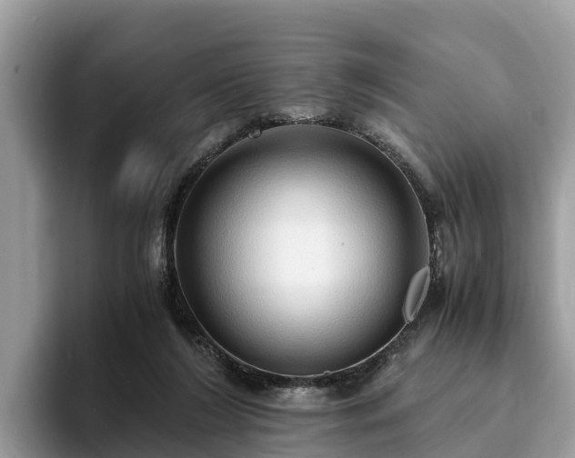 X0000093410212200710190952