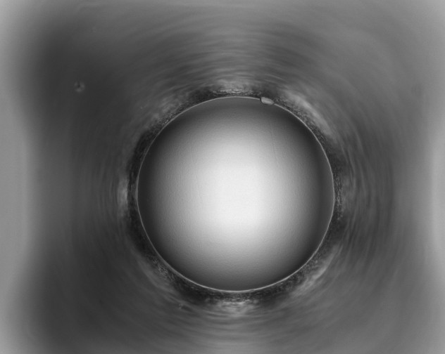 X0000093410213200710190952