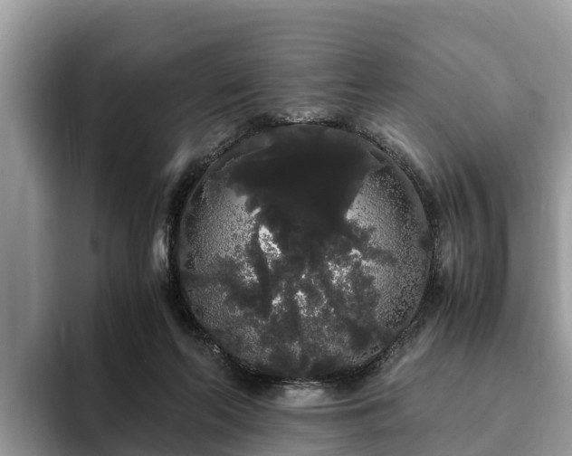 X0000093410214200710190952