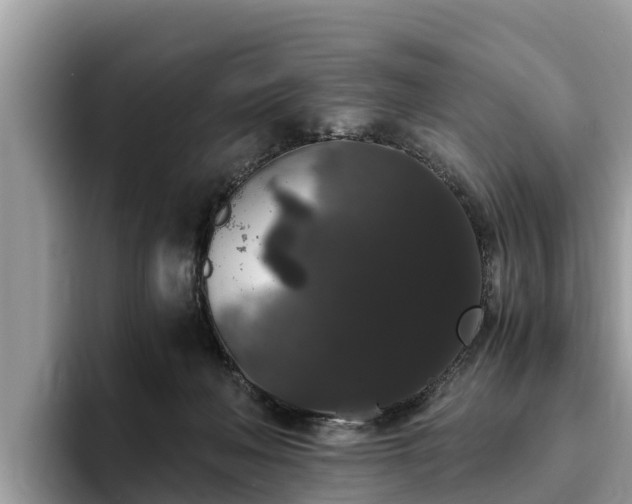 X0000093410222200710190951