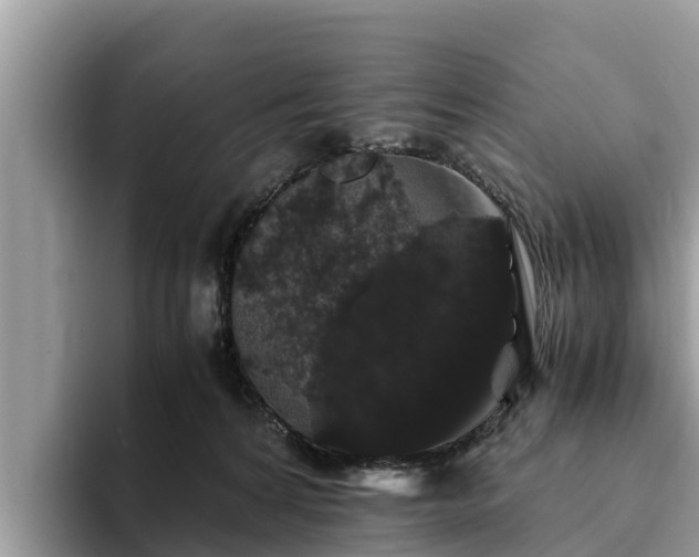 X0000093410224200710190951