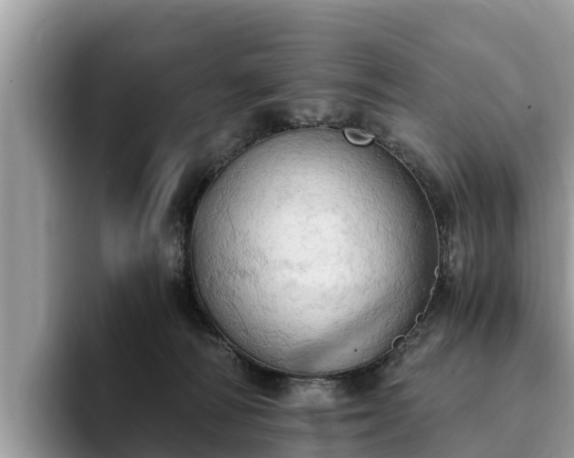 X0000093410226200710190951