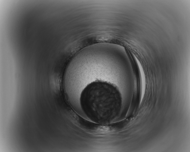 X0000093410227200710190951