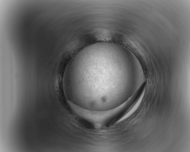 X0000093410229200710190951