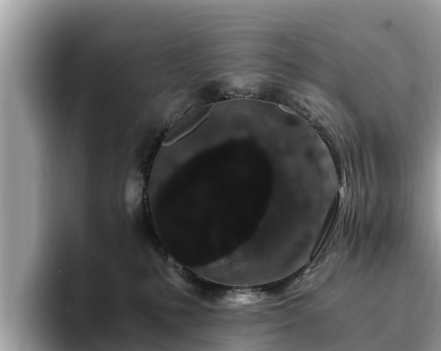 X0000093410231200710190951