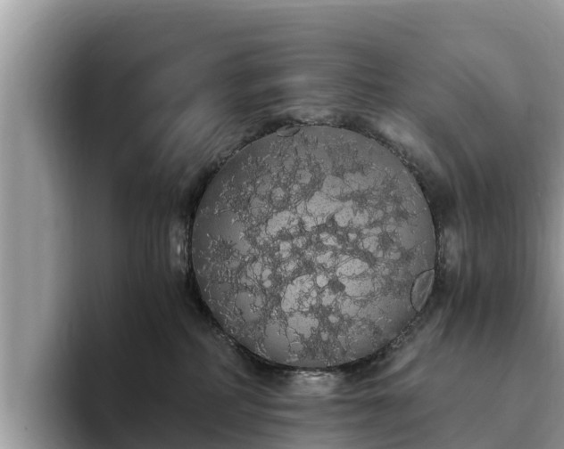 X0000093410234200710190951