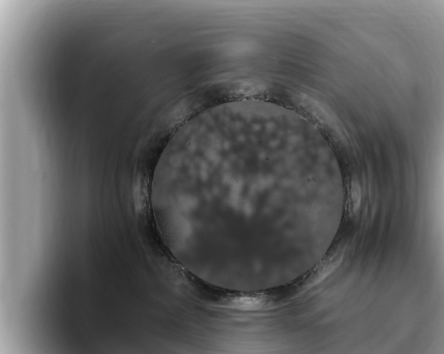 X0000093410236200710190951