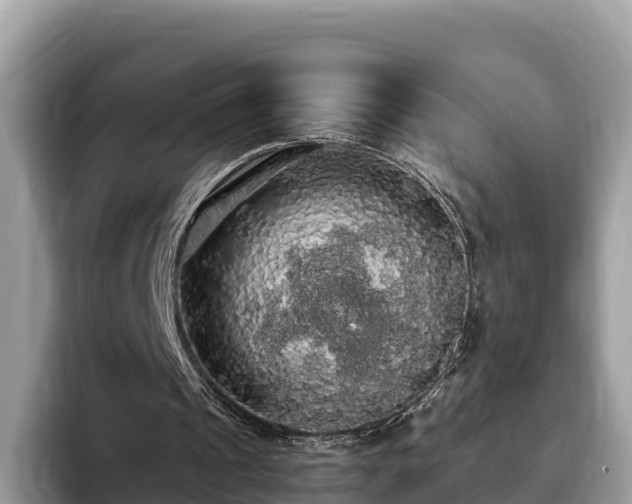 X0000093410241200710190950