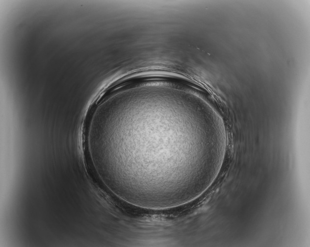 X0000093410244200710190950