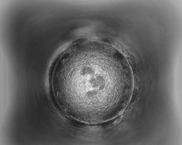 X0000093410245200710190950