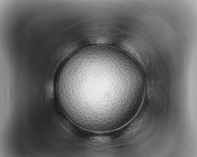 X0000093410251200710190951