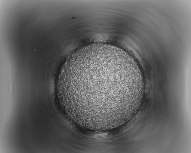 X0000093410257200710190951