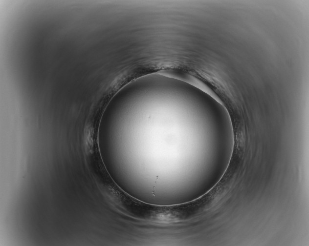 X0000093410264200710190951