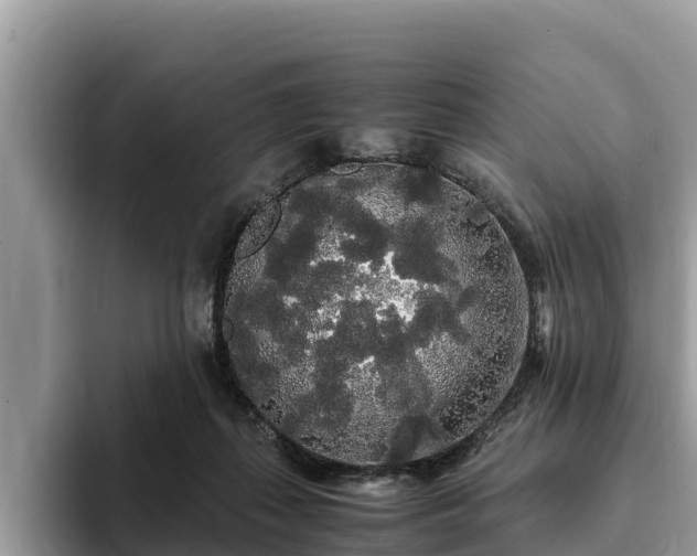 X0000093410267200710190951