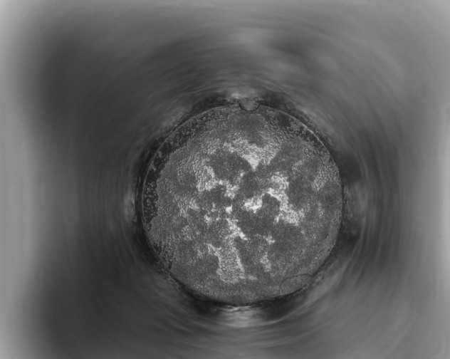 X0000093410269200710190951