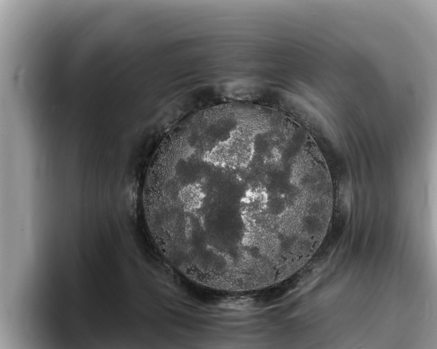 X0000093410271200710190951