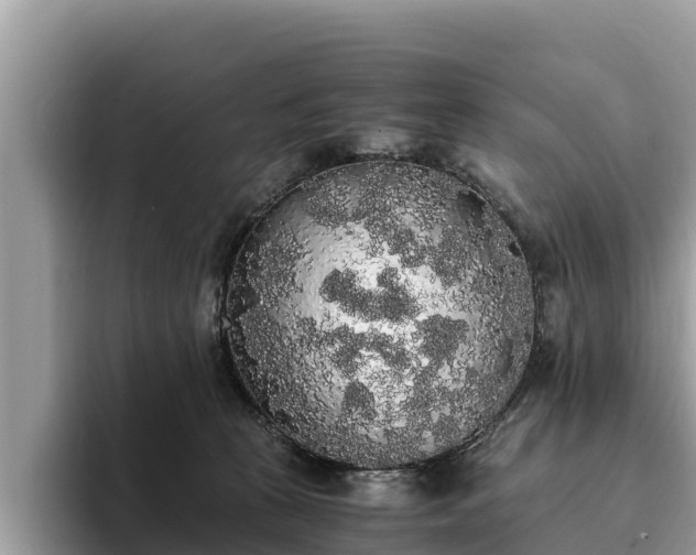 X0000093410273200710190951