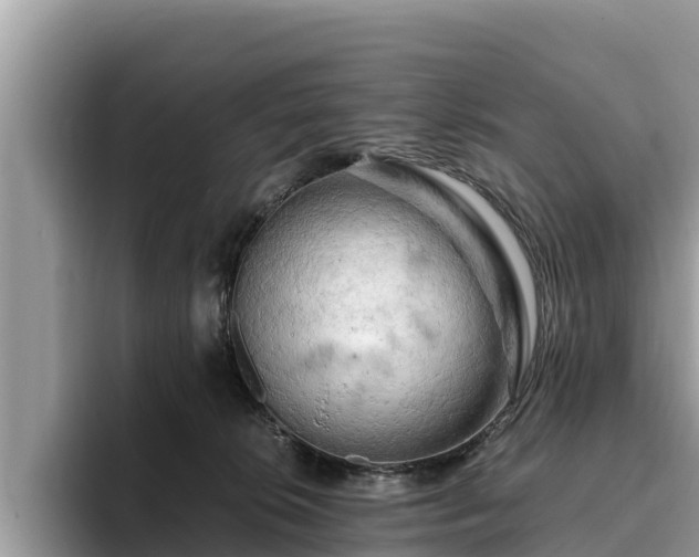 X0000093410276200710190951