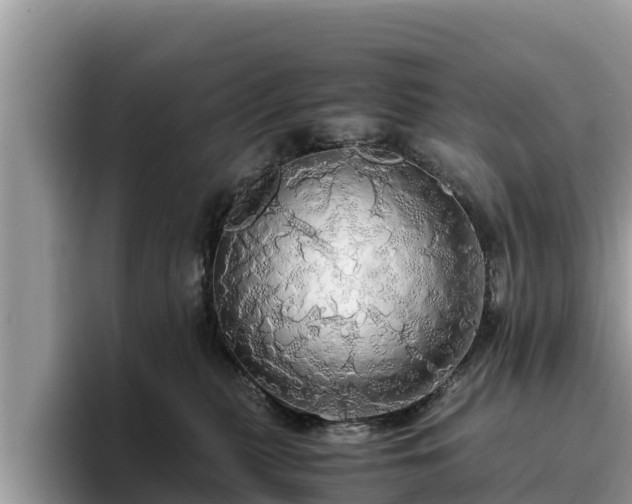 X0000093410279200710190951