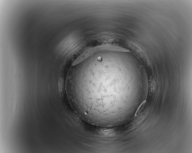 X0000093410283200710190951