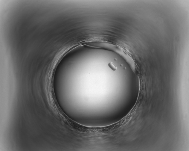 X0000093410289200710190950