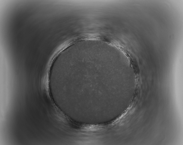 X0000093410293200710190950