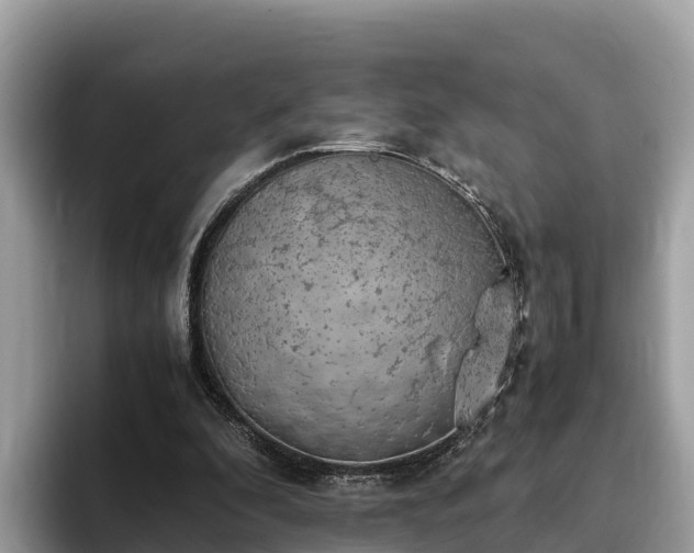 X0000093410296200710190950