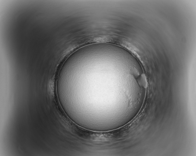 X0000093410297200710190950