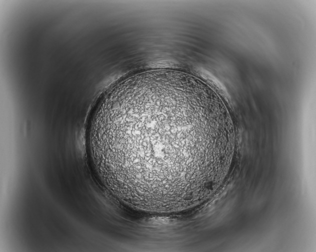 X0000093410298200710190950