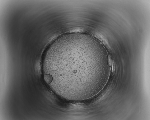 X0000093410300200710190950