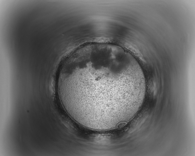 X0000093410303200710190950