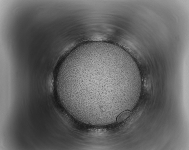 X0000093410304200710190950