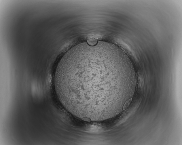 X0000093410308200710190950