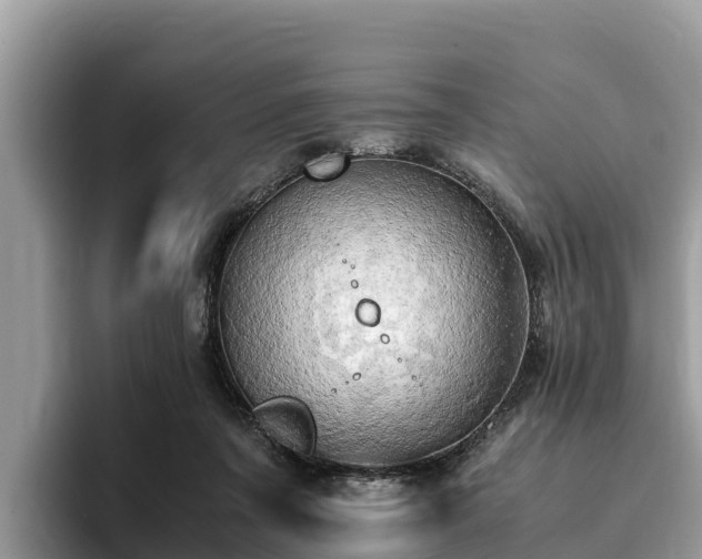 X0000093410311200710190950