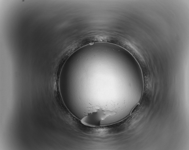 X0000093410313200710190950