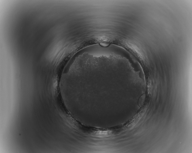 X0000093410314200710190950