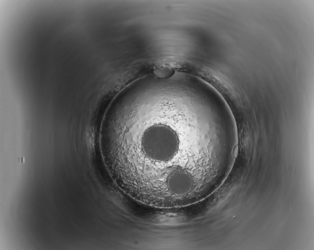 X0000093410315200710190950