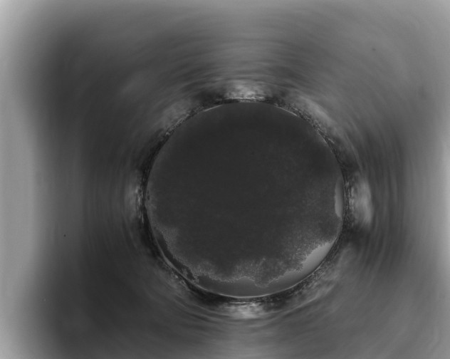 X0000093410322200710190950