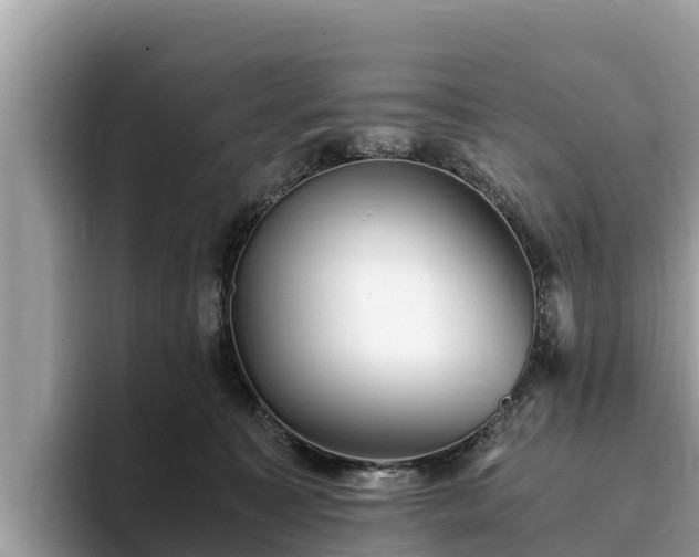 X0000093410323200710190950