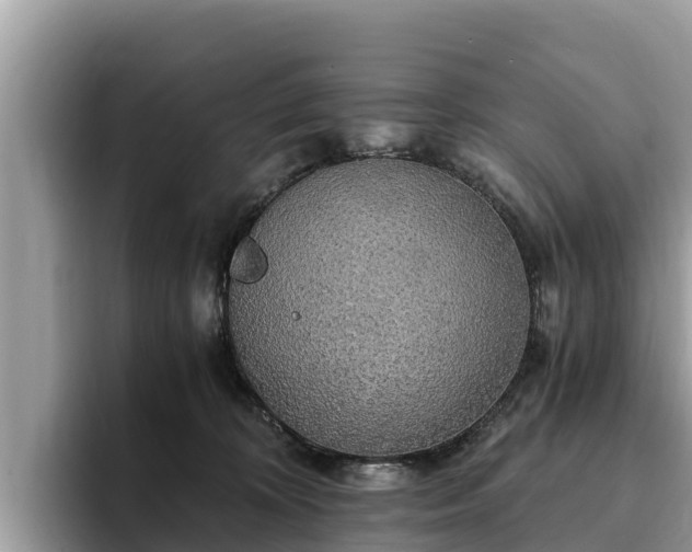 X0000093410324200710190950