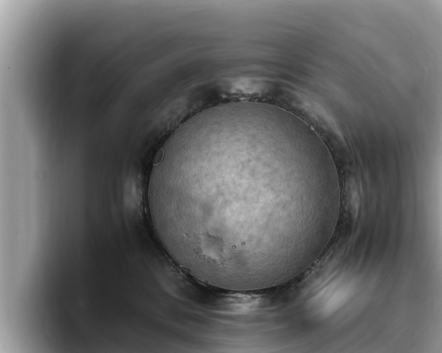 X0000093410328200710190950